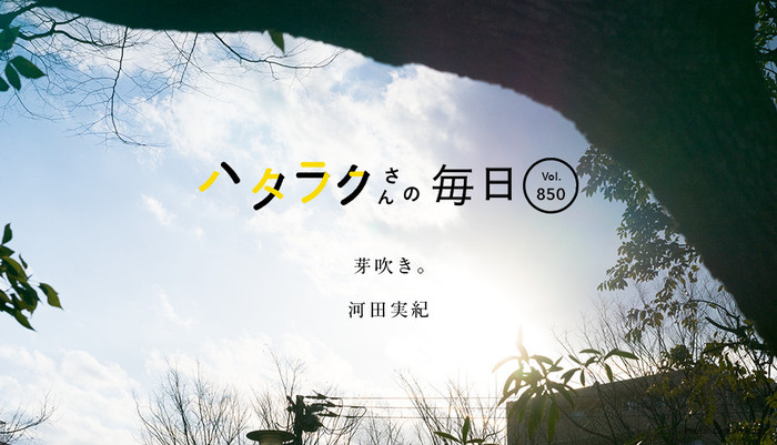 Vol.850ハタラクさんの毎日