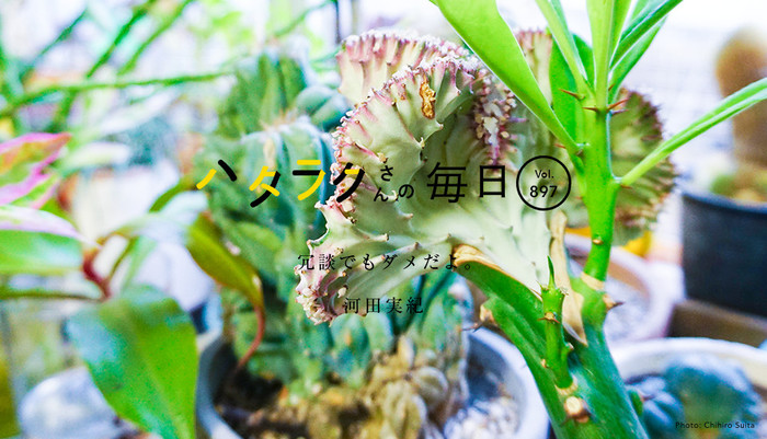 Vol.897ハタラクさんの毎日