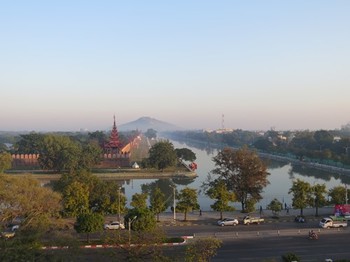 PH1-cocov258.jpg