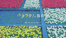 Vol.2298ハタラクさんの毎日