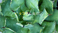 Vol.2414ハタラクさんの毎日