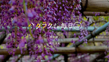Vol.3761ハタラクさんの毎日