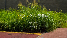 Vol.3879ハタラクさんの毎日