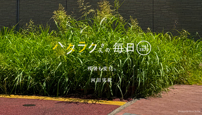 Vol.3879ハタラクさんの毎日