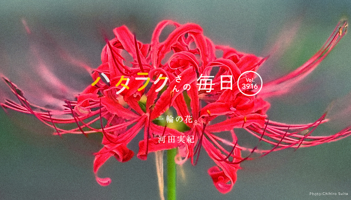 Vol.3916ハタラクさんの毎日