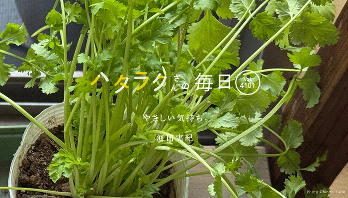 Vol.4101ハタラクさんの毎日