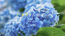 Vol.4106ハタラクさんの毎日