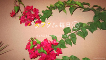 Vol.4119ハタラクさんの毎日