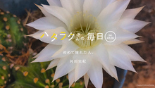 Vol.4126ハタラクさんの毎日