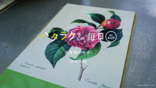 Vol.4129ハタラクさんの毎日